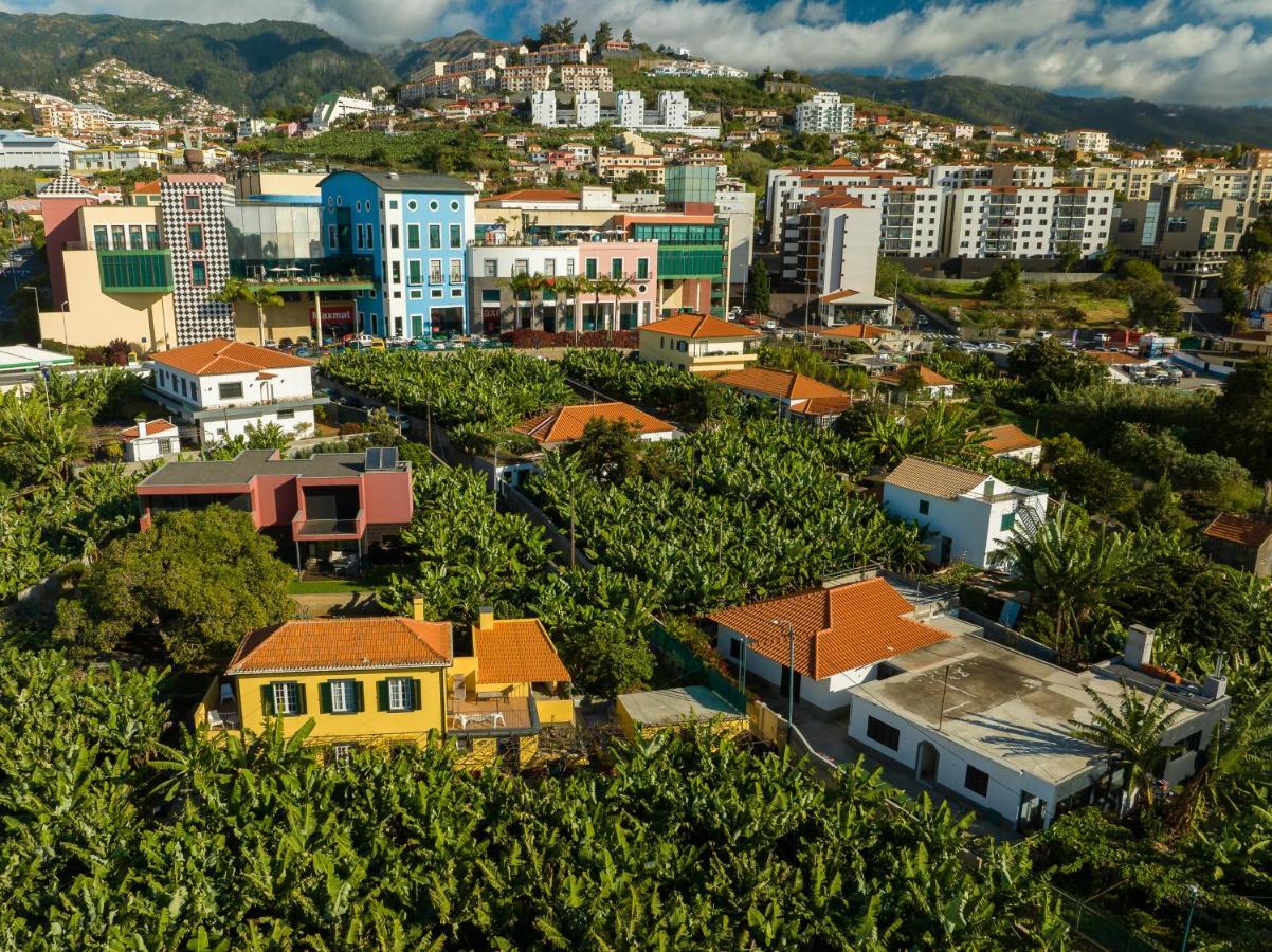 Вилла Casa D'Avo Celina Фуншал Экстерьер фото